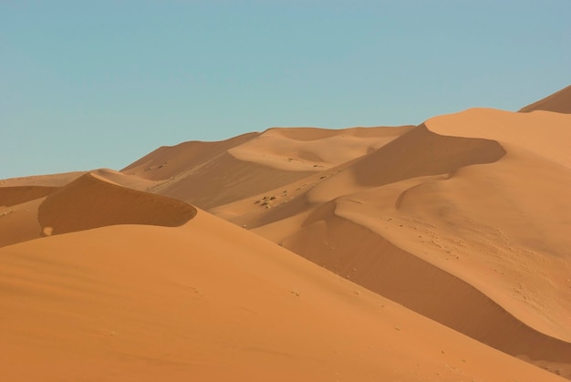 Desert of Sossusvlei in Namibia