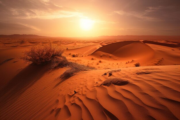 A desert sunset with a few plants in the foreground