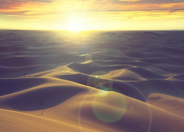 日没の砂漠