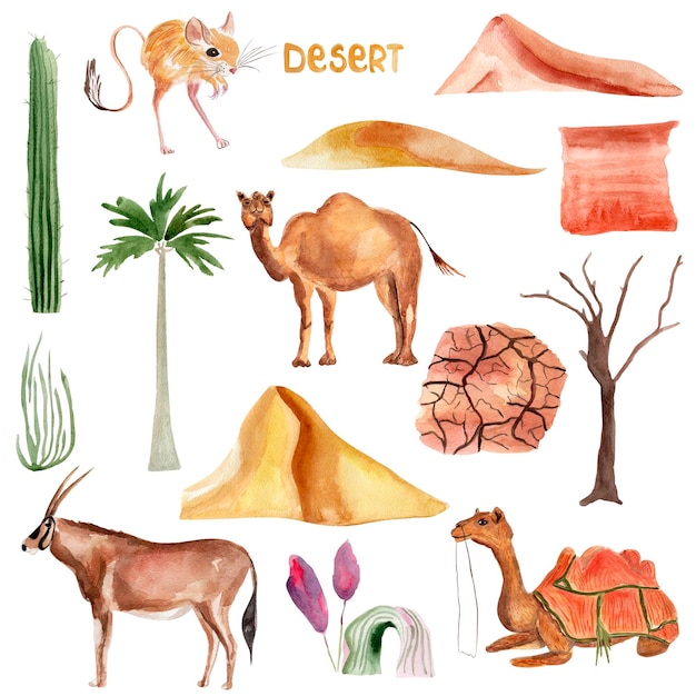 Desert watercolor elements set