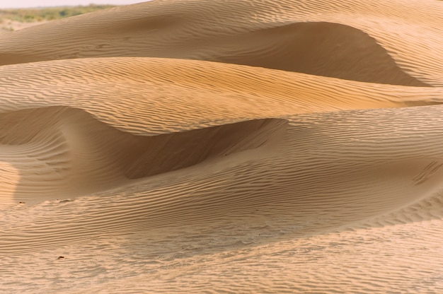Пустыня с песчаными дюнами в ясный солнечный день. Пустынный ландшафт.