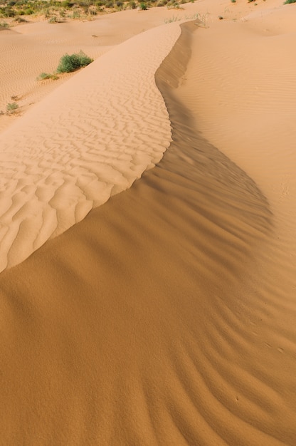 Desert with sand dunes on a clear sunny day. Desert landscape.