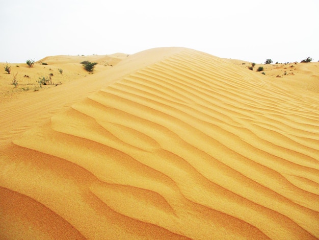 пустыня с песчаными дюнами в теплых тонах