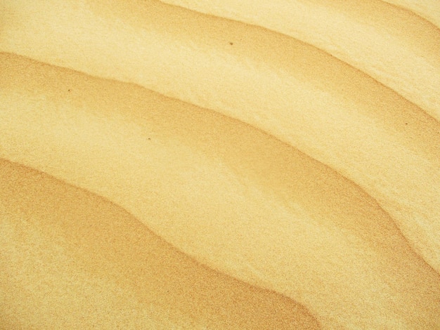 desert with warm colors  sand dunes