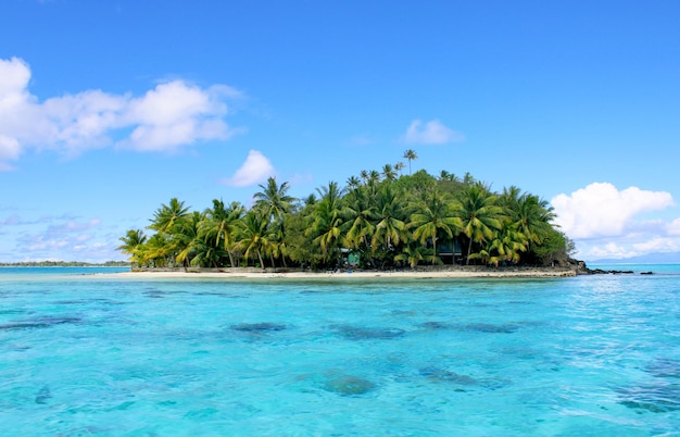 Isola tropicale deserta nella laguna