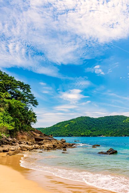 Deserted and unspoilt beach with the rainforest reaching down to the sea in trindade rio de janeiro