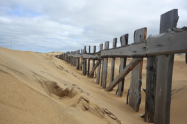 Desertification, climate change concept, global warming /
desert landscape