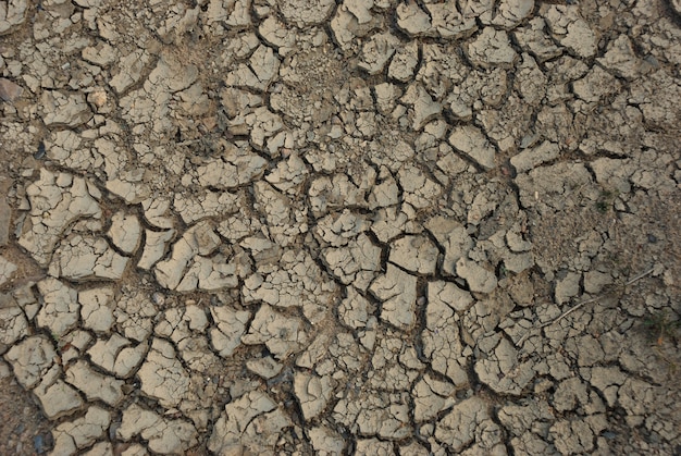 Desiccated ground drought background