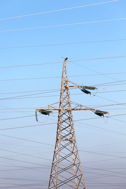 Designed poles and metal wires for transporting electric current