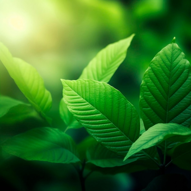 Designer background with green leaves