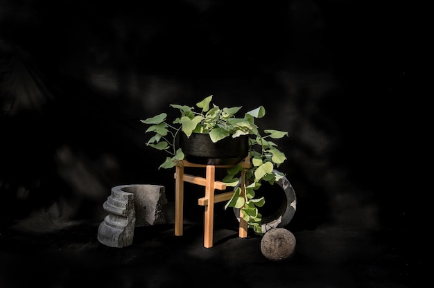 Designer planter on stone with black background