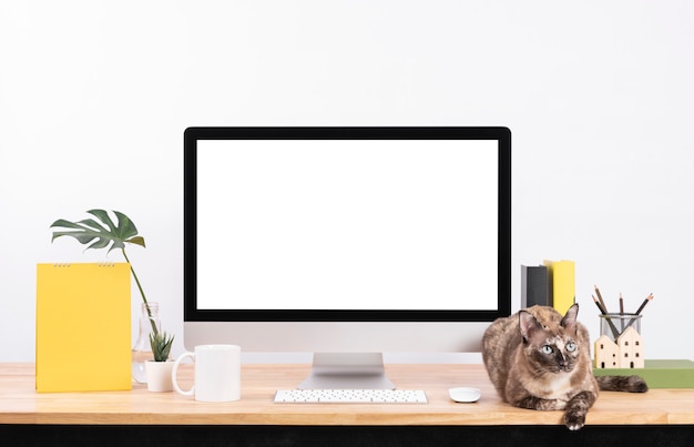 Desktopcomputermonitor met een kat