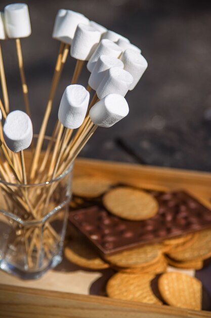 Dessert met marshmallows, chocolade en crackers na een barbecue in het park