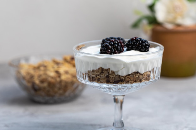 Dessert with yogurt homemade granola and fresh blackberries in patterned glass with golden spoon