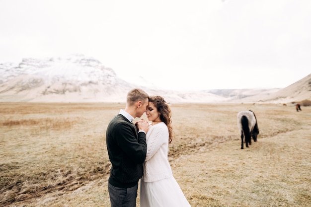 アイスランドの馬との目的地のアイスランドの結婚式のフォトセッション新郎は花嫁の手を抱きしめました