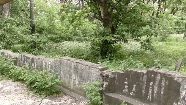 destroyed fence in an old abandoned park