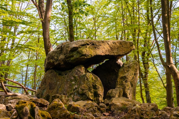 Detail of the Aitzetako Txabala Dolmen in the Basque Country in spring Errenteria Gipuzkoa