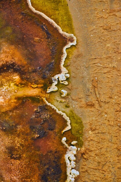 Detail of alkaline waters at yellowstone basin
