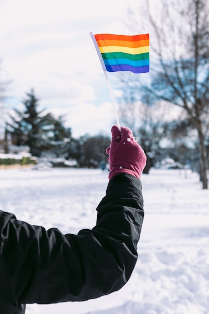 Foto particolare del braccio di una donna lesbica in una zona nevosa che tiene la bandiera arcobaleno lgbt