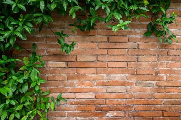 Detail of brick red wall with decorative arches and growing plant