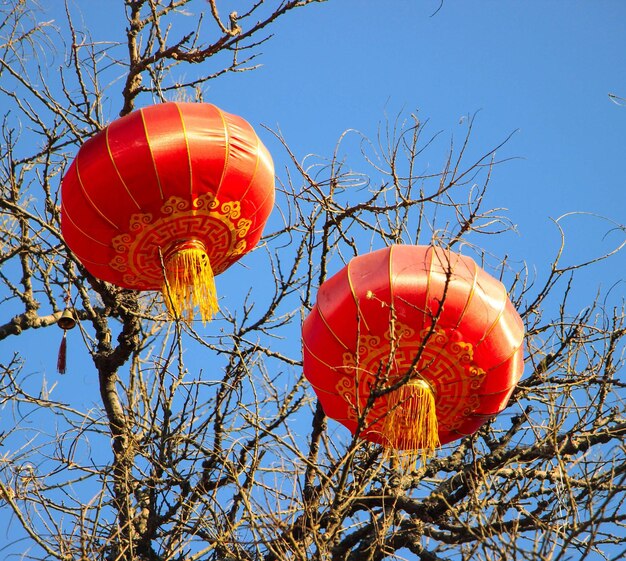 Photo detail of chinese red lanterns