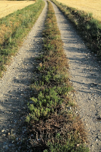 Detail of a country road at sunset