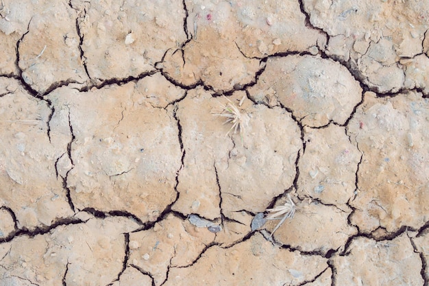 Detail of a cracked earth, crack earth, crack soil , global warming