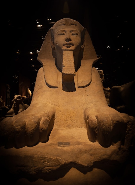 Detail of an Egyptian Sphinx - Ramesside Period