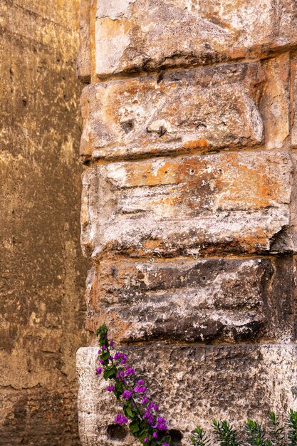 Photo detail from wall on the streest of rome italy