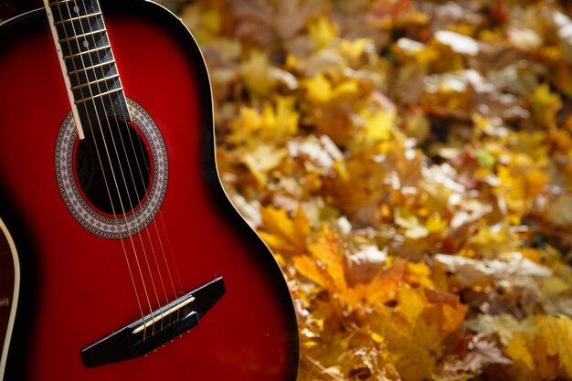 Photo detail of a guitar in the park on a background of fallen autumn leaves