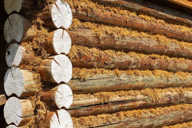 Photo detail of a log house wooden log wall corner of a log house