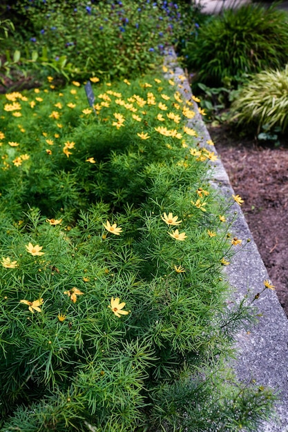 スペイン、ヨーロッパの緑豊かな庭園の詳細。木、花、小道、美しい自然の風景