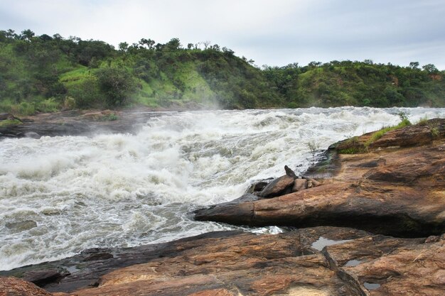 detail of the Murchison Falls