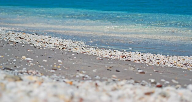写真 サルデーニャのビーチの白い小石の詳細