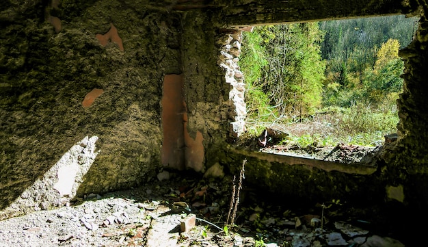 Деталь комнаты заброшенного каменного дома в состоянии упадка в лесу