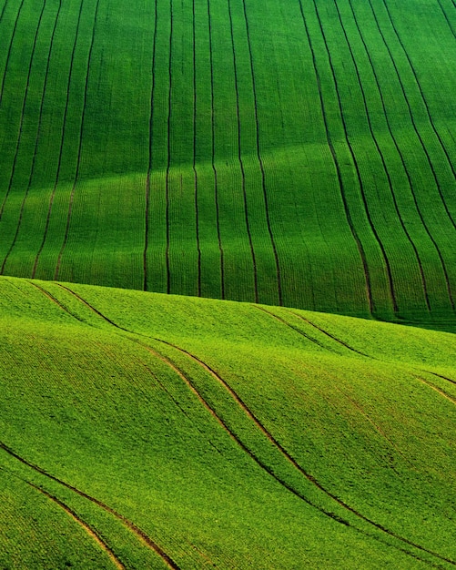 Detail scenery at South Moravian field during spring Czech republic