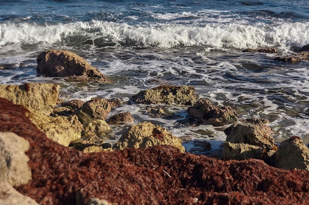 Detail of sea waves crashing on the rocky coast in mexico