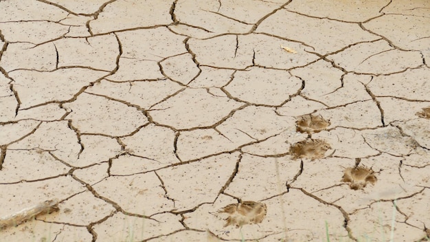 Foto immagine dettagliata del terreno fessurato