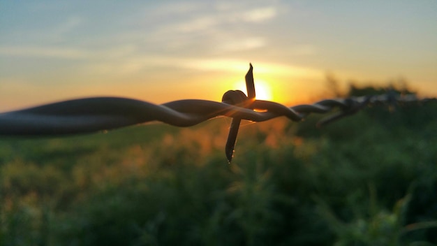 Foto immagine dettagliata della recinzione contro il tramonto