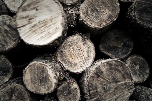 detail shot of firewood