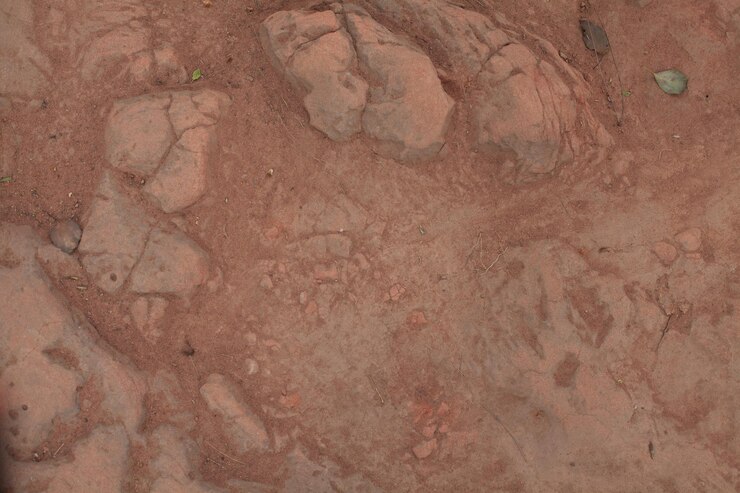 Photo detail shot of ground as background