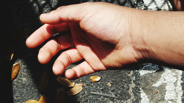 Detail shot of human hand