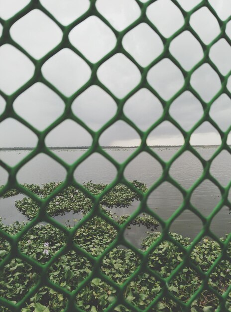写真 静かな海に囲まれたフェンスの詳細写真