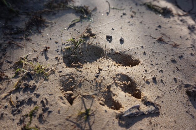 Photo detail shot of sand