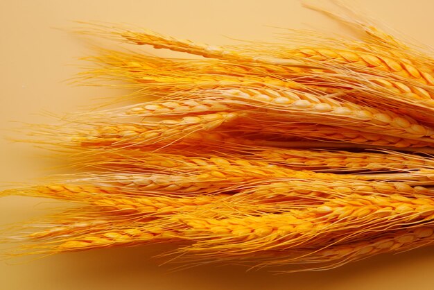 Foto detail shot van tarwe spikelets op tafel