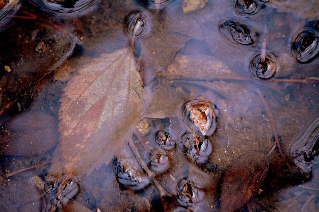 Photo detail shot of water