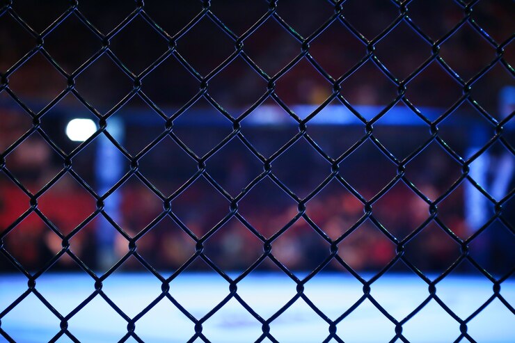 팔각형 mma 경기장의 측면 그리드 세부 사항.