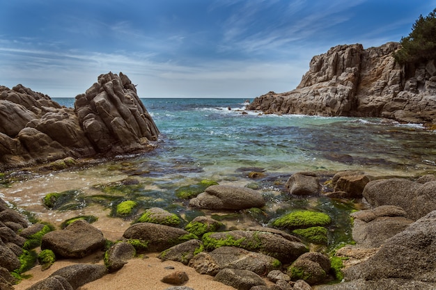 夏のスペイン海岸の詳細（カタロニア、コスタブラバ）