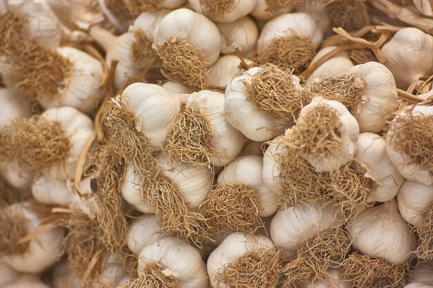 Detail of storing a lot of garlic heads on a farm producing.