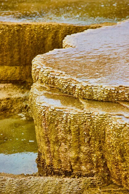 Detail of terrace in yellowstone hot springs